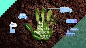 Understanding Your Carbon Footprint: A Beginner’s Guide